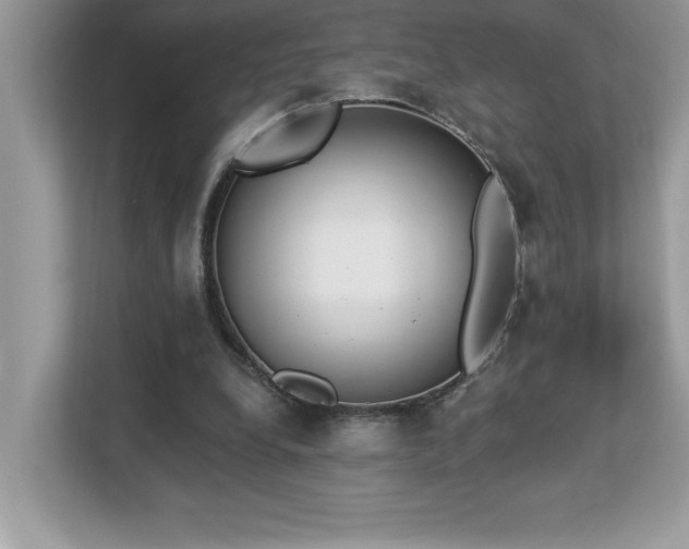 X0000112860248200908211326
