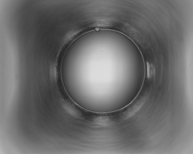 X0000112860252200908211326