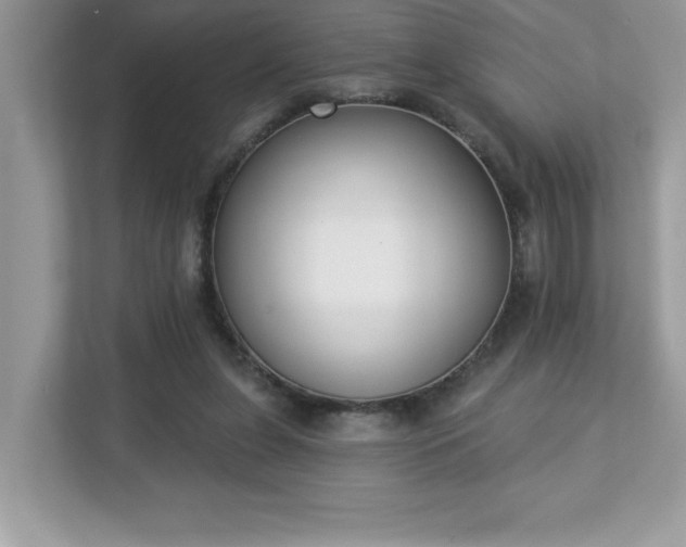 X0000112860255200908211327