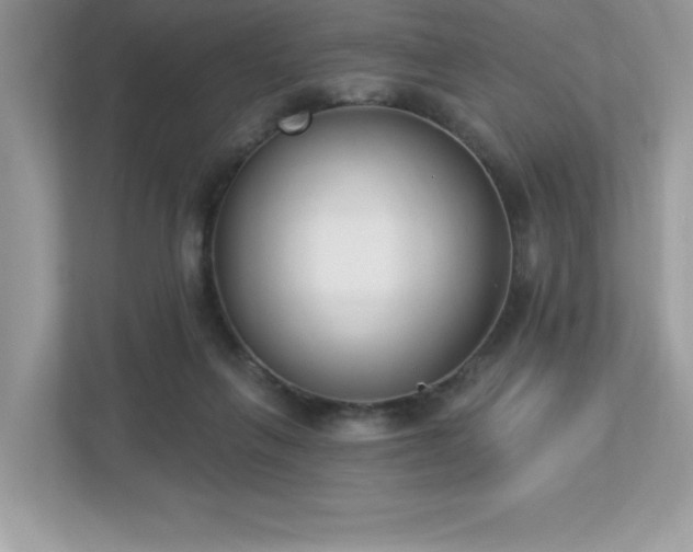 X0000112860263200908211327