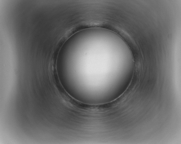 X0000112860264200908211327