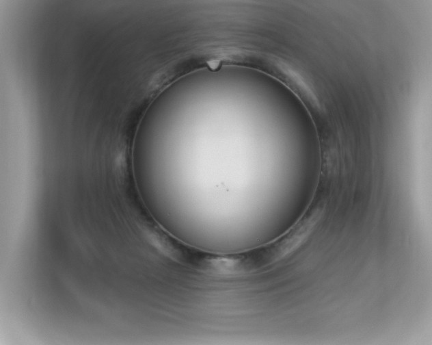 X0000112860265200908211327