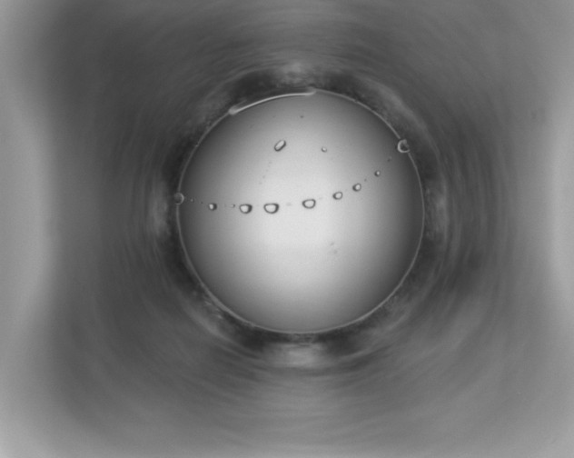 X0000112860266200908211327
