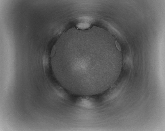 X0000112860268200908211327