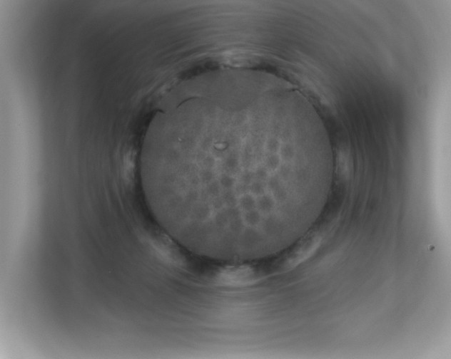 X0000112860271200908211327