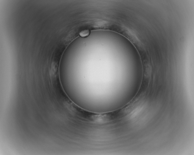 X0000112860273200908211327