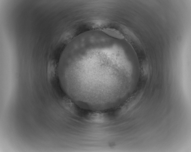 X0000112860276200908211327