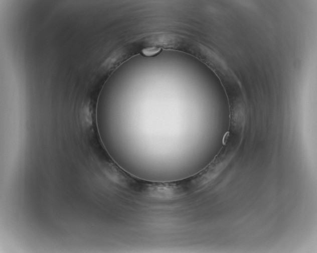 X0000112860282200908211327