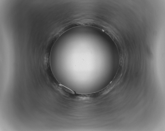 X0000112860284200908211327