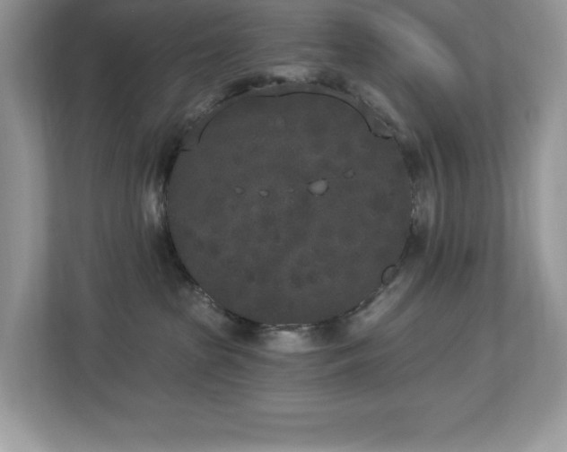 X0000112860285200908211327