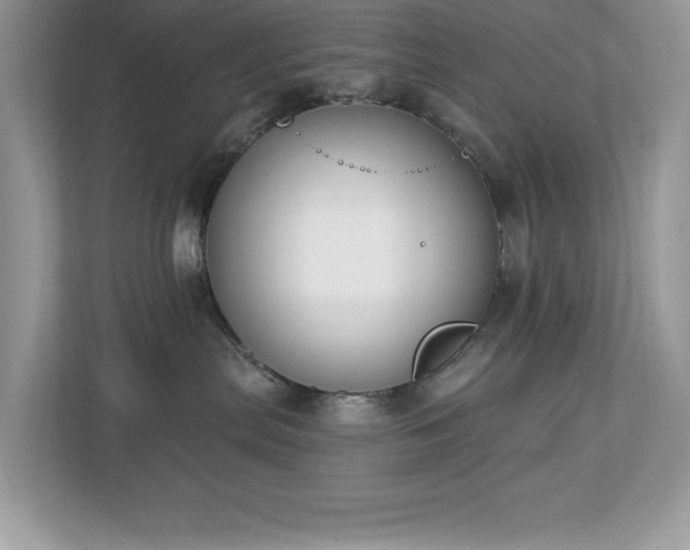 X0000112860287200908211327