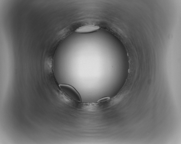 X0000112860288200908211327