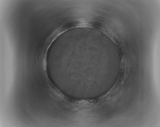 X0000112860290200908211326