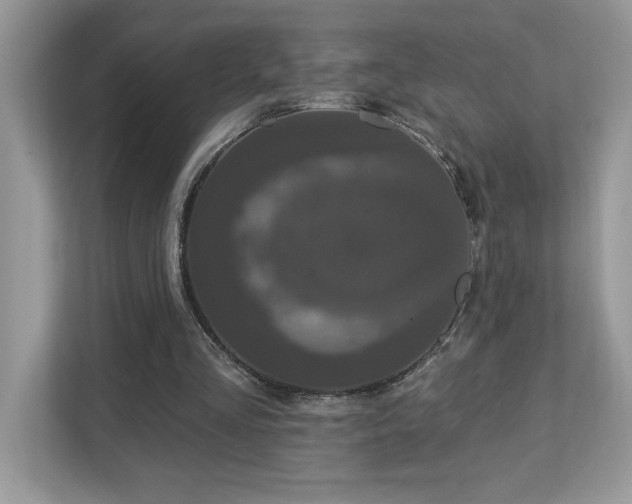 X0000112860293200908211326