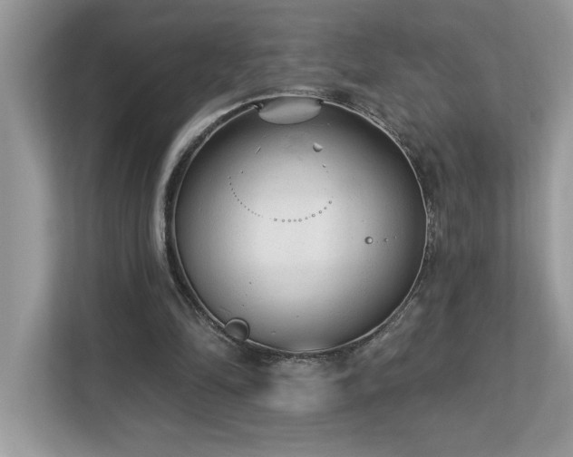 X0000112860294200908211326