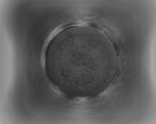 X0000112860295200908211326