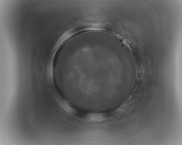 X0000112860296200908211326