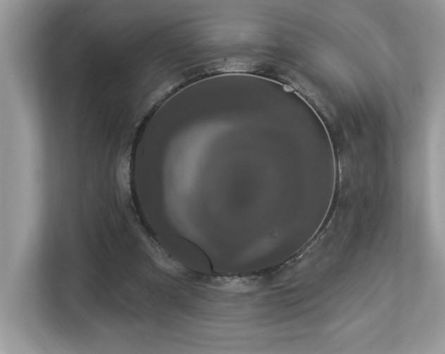 X0000112860297200908211326