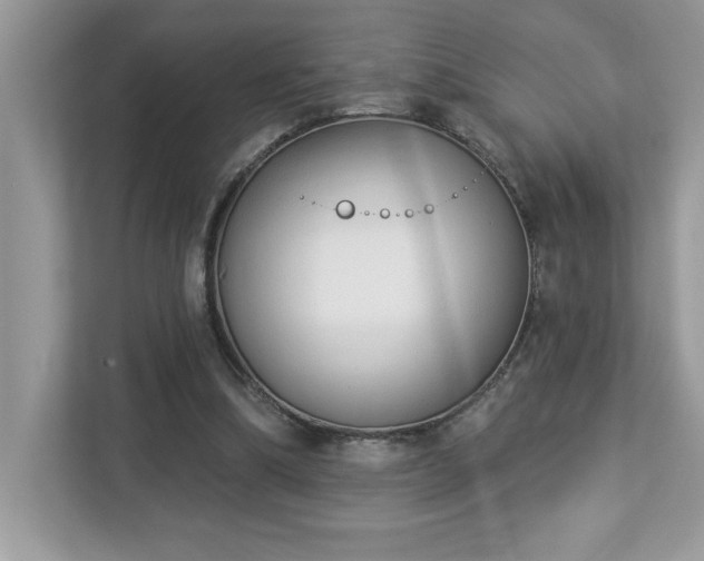 X0000112860298200908211326