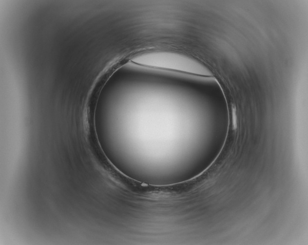 X0000112860300200908211326
