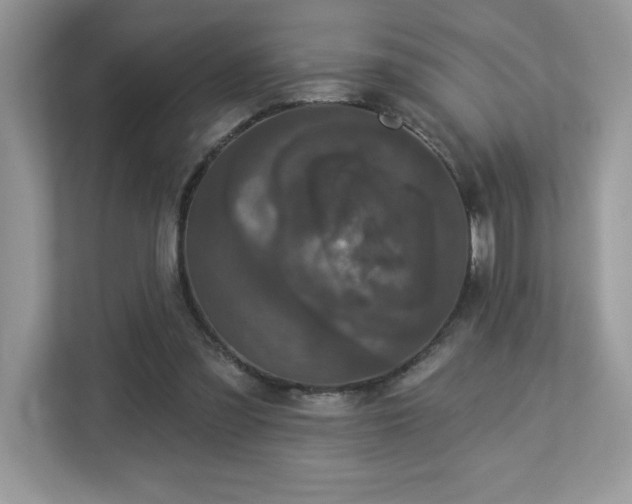 X0000112860301200908211326
