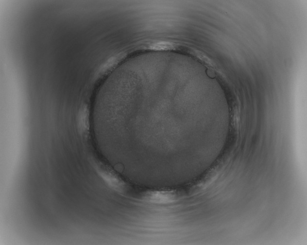 X0000112860303200908211326