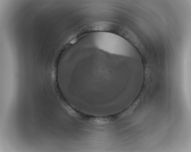 X0000112860305200908211326