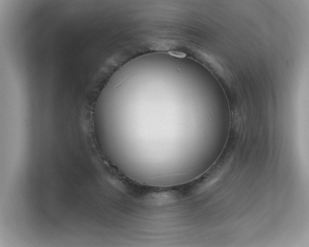 X0000112860307200908211326