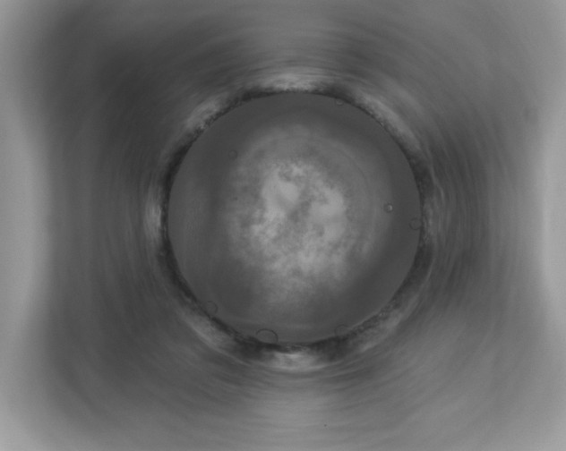 X0000112860309200908211326