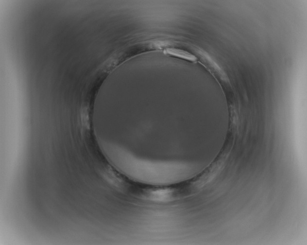 X0000112860313200908211326