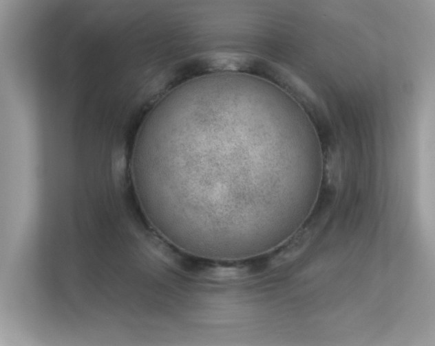 X0000112860314200908211326