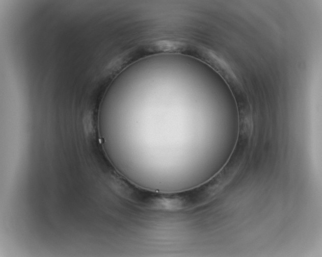 X0000112860317200908211326
