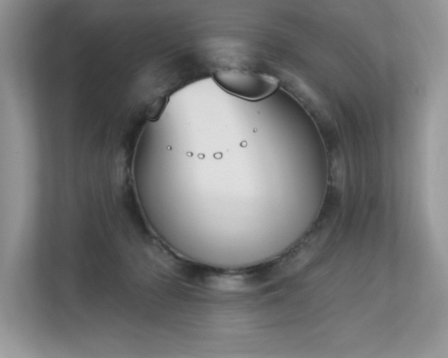 X0000112860318200908211326