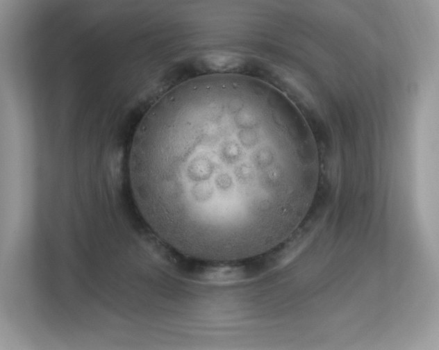 X0000112860319200908211326