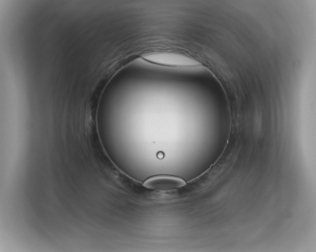X0000112860320200908211326