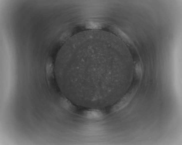 X0000112860322200908211326
