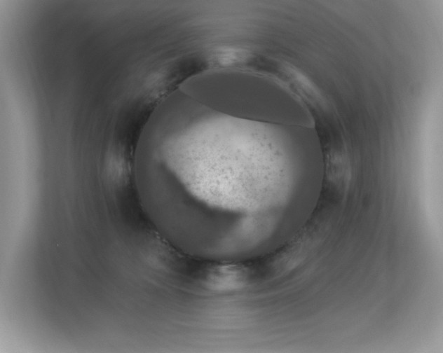 X0000112860324200908211326