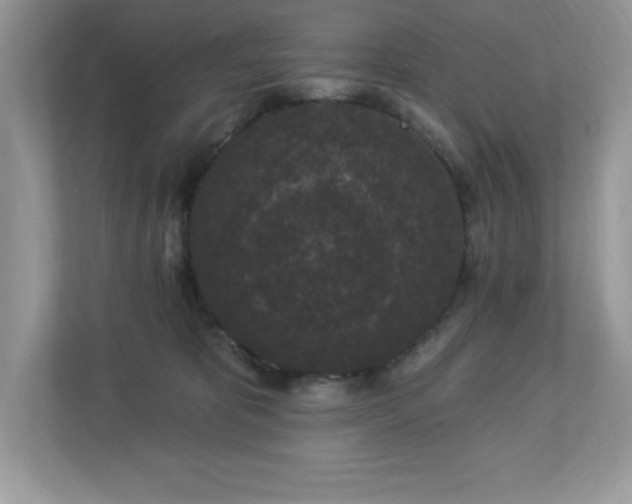 X0000112860325200908211326