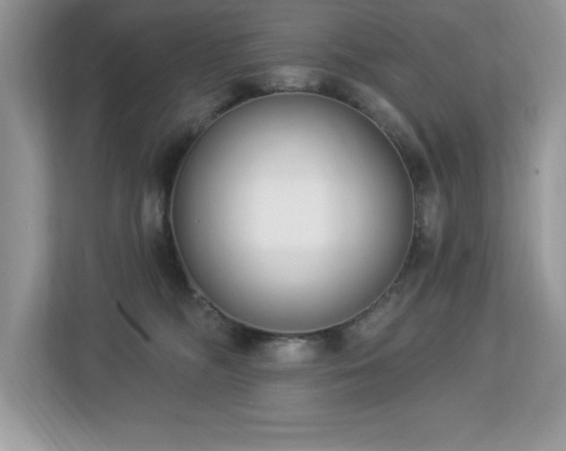 X0000112860326200908211326