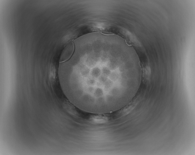 X0000112860331200908211326