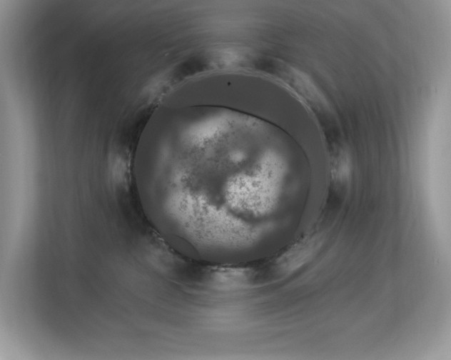 X0000112860332200908211326