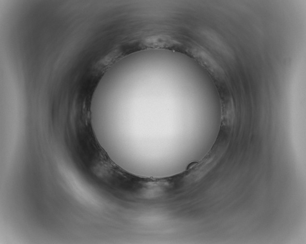 X0000112860334200908211326