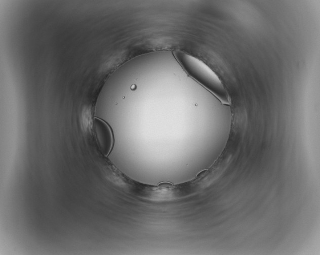 X0000112860335200908211326