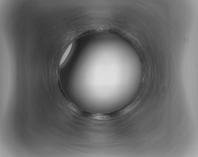 X0000112860336200908211326