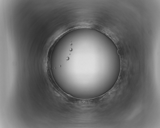 X0000112860338200908211325