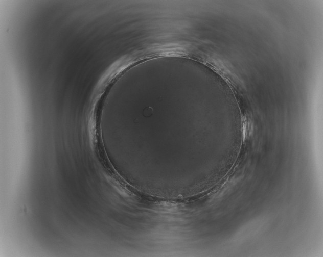 X0000112860339200908211325