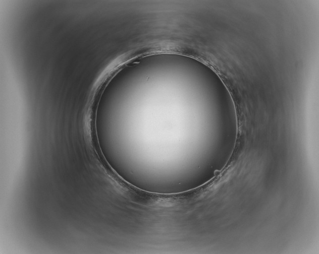 X0000112860341200908211325