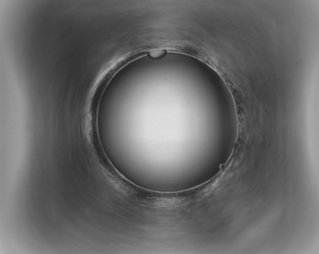 X0000112860342200908211325