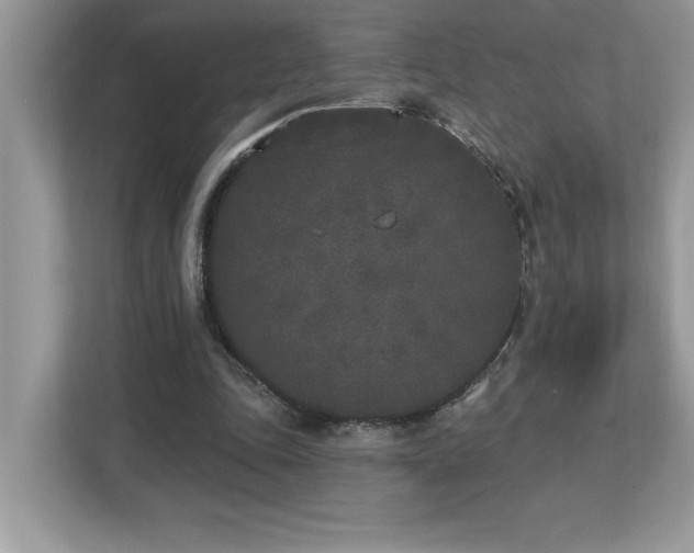 X0000112860343200908211325