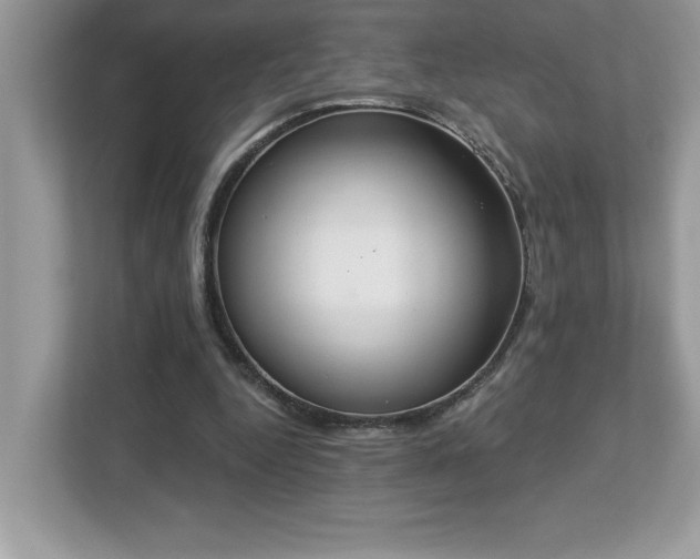 X0000112860344200908211325